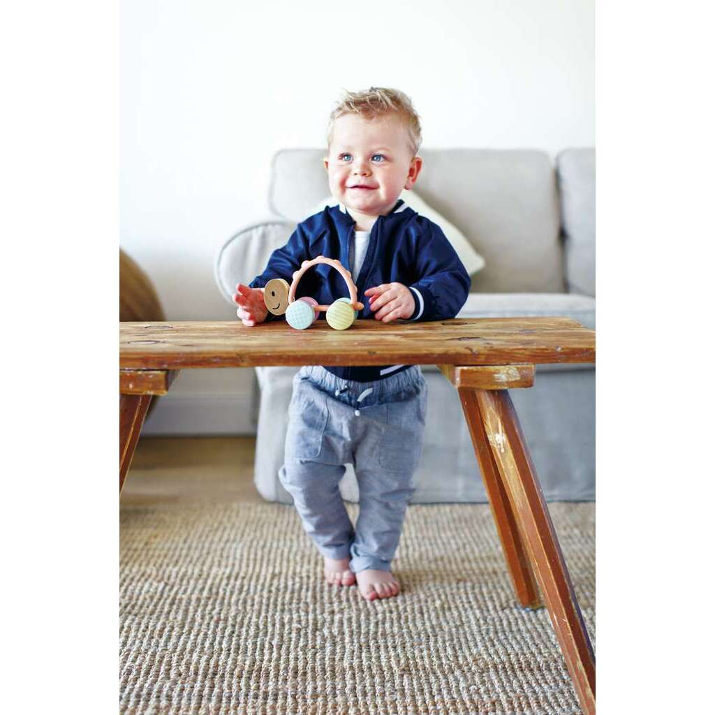 Rennschildkröte Rike Rennschildkröte Rike