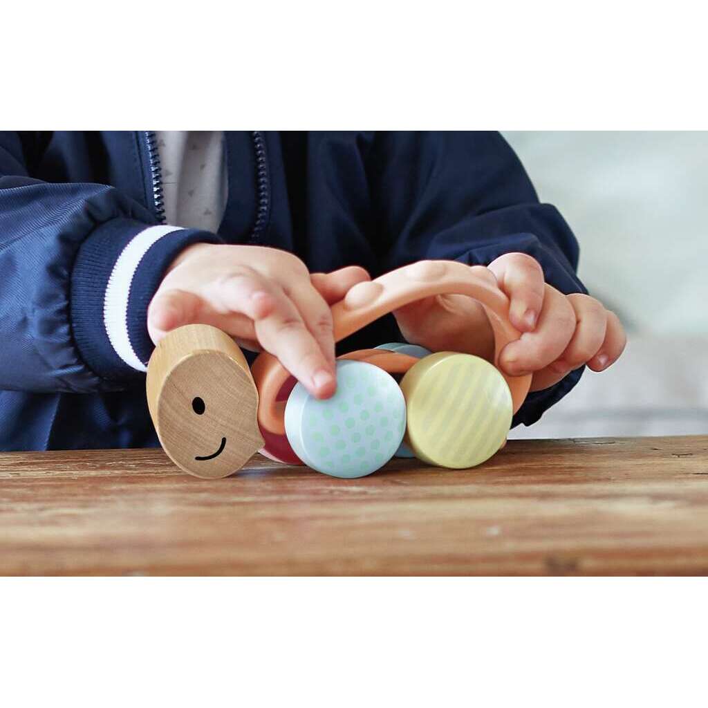 Rennschildkröte Rike Rennschildkröte Rike