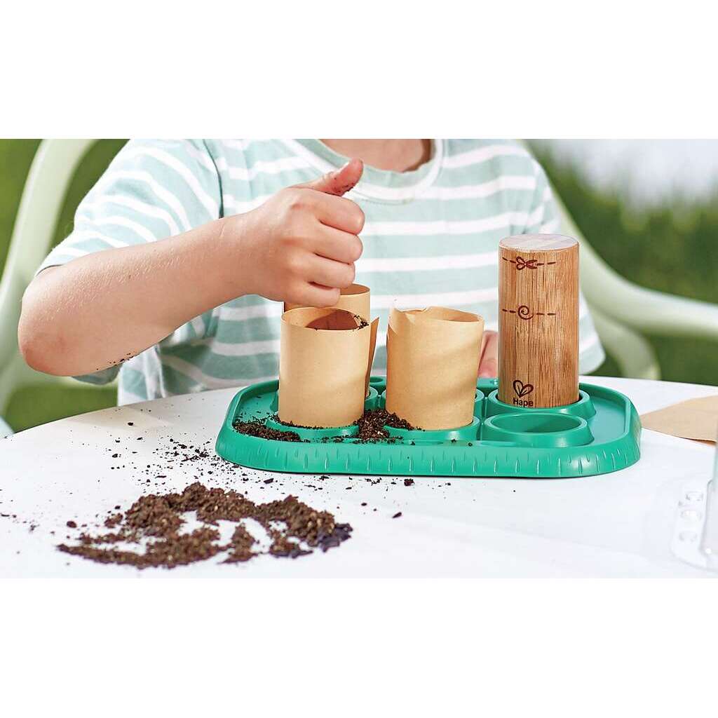 Gewächshaus Gewächshaus