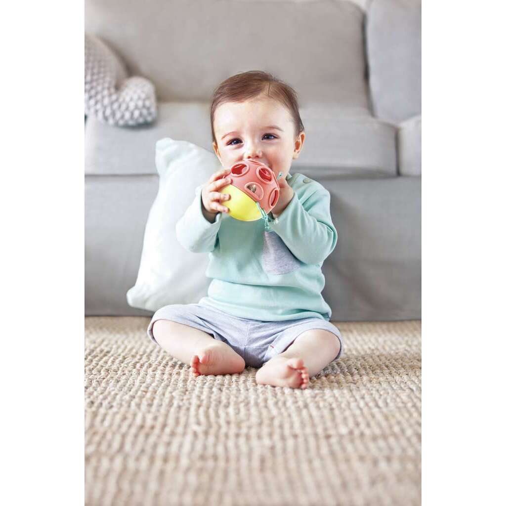 Marienkäfer Marlon Marienkäfer Marlon