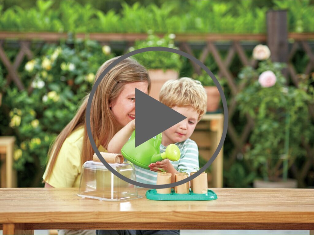 Gewächshaus Gewächshaus