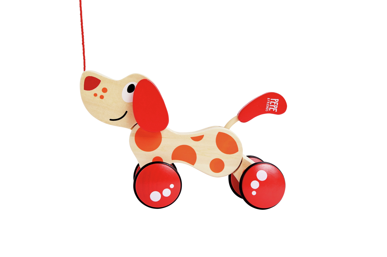 Nachziehhund "Pepe" Nachziehhund "Pepe"