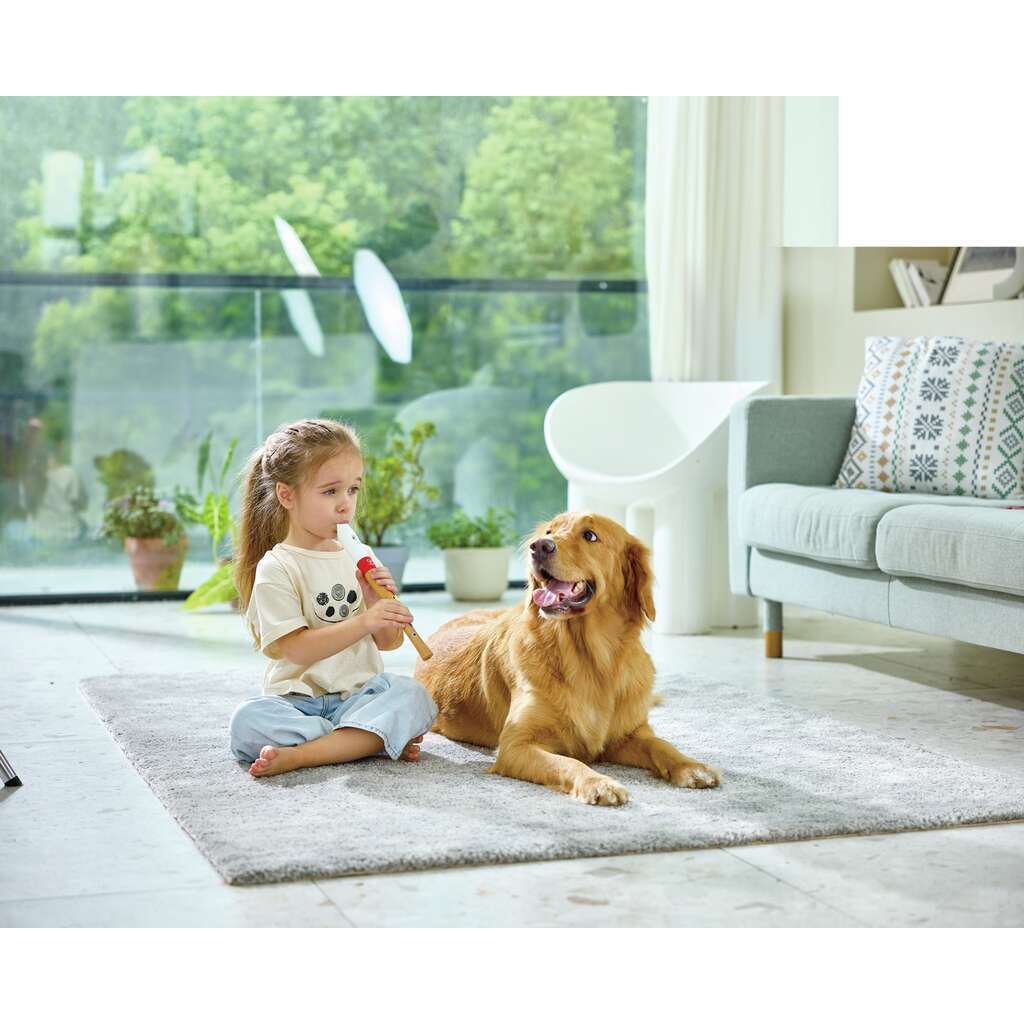 Blockflöte für Musikbeginner Blockflöte für Musikbeginner