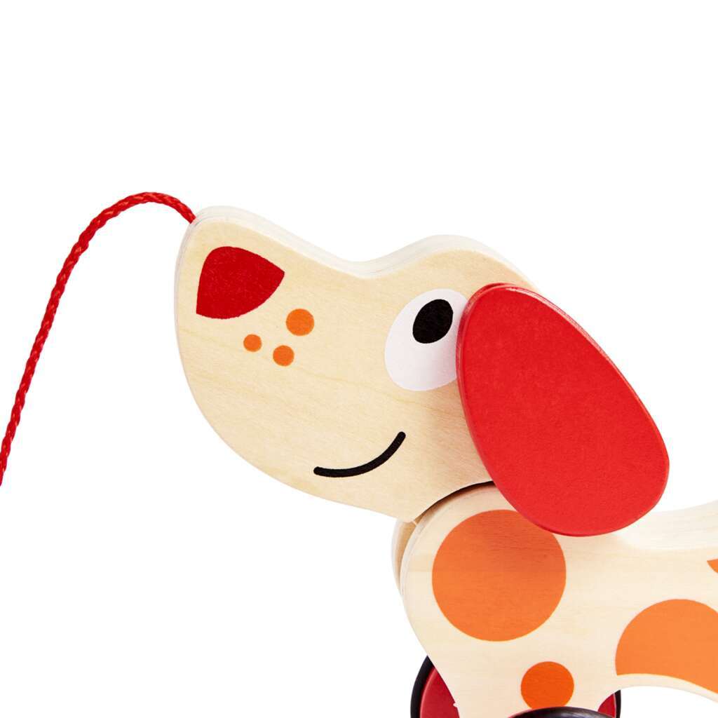 Nachziehhund "Pepe" Nachziehhund "Pepe"