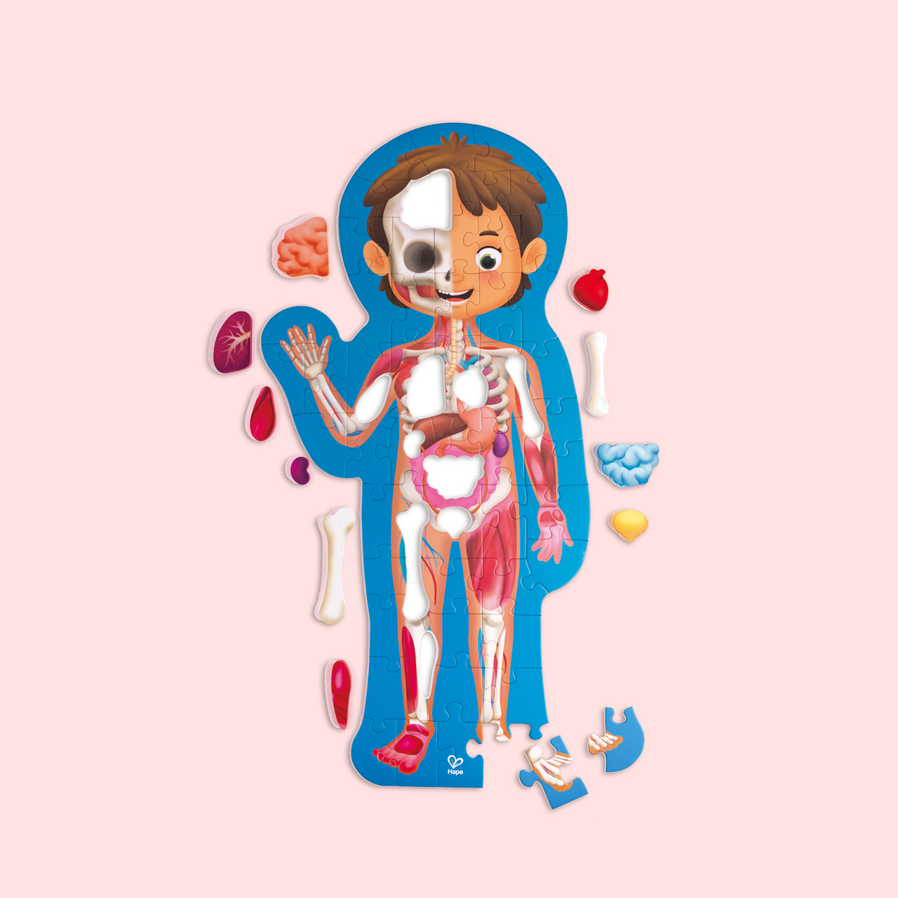 Puzzle "Mein Körper" Puzzle "Mein Körper"