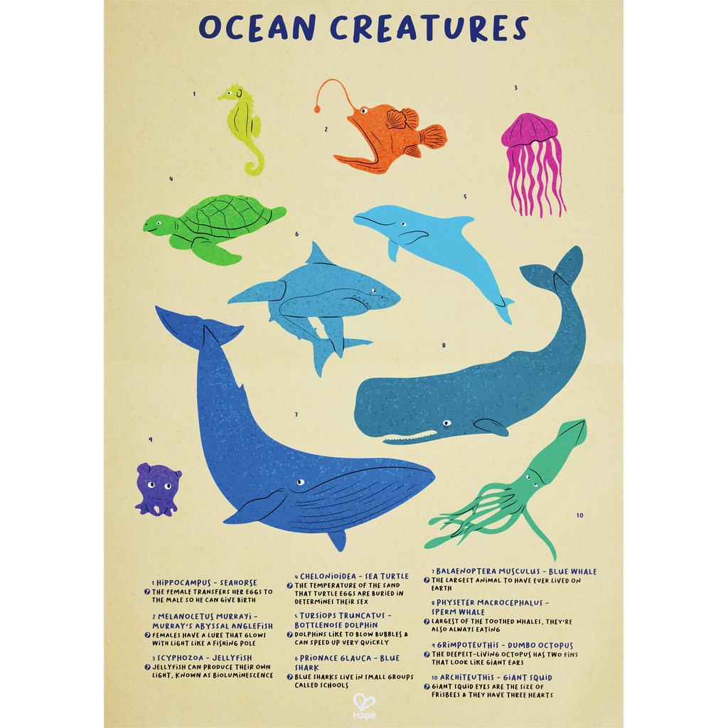 Humpback Whale Shimmer Floor Puzzle - 200pcs