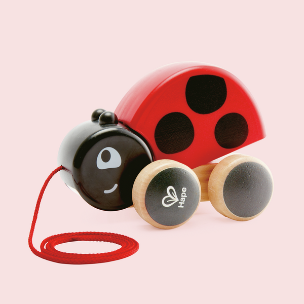 Pull along Lady bug Pull along Lady bug
