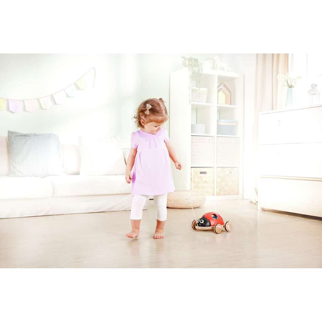 Formensortierer Marienkäfer Formensortierer Marienkäfer