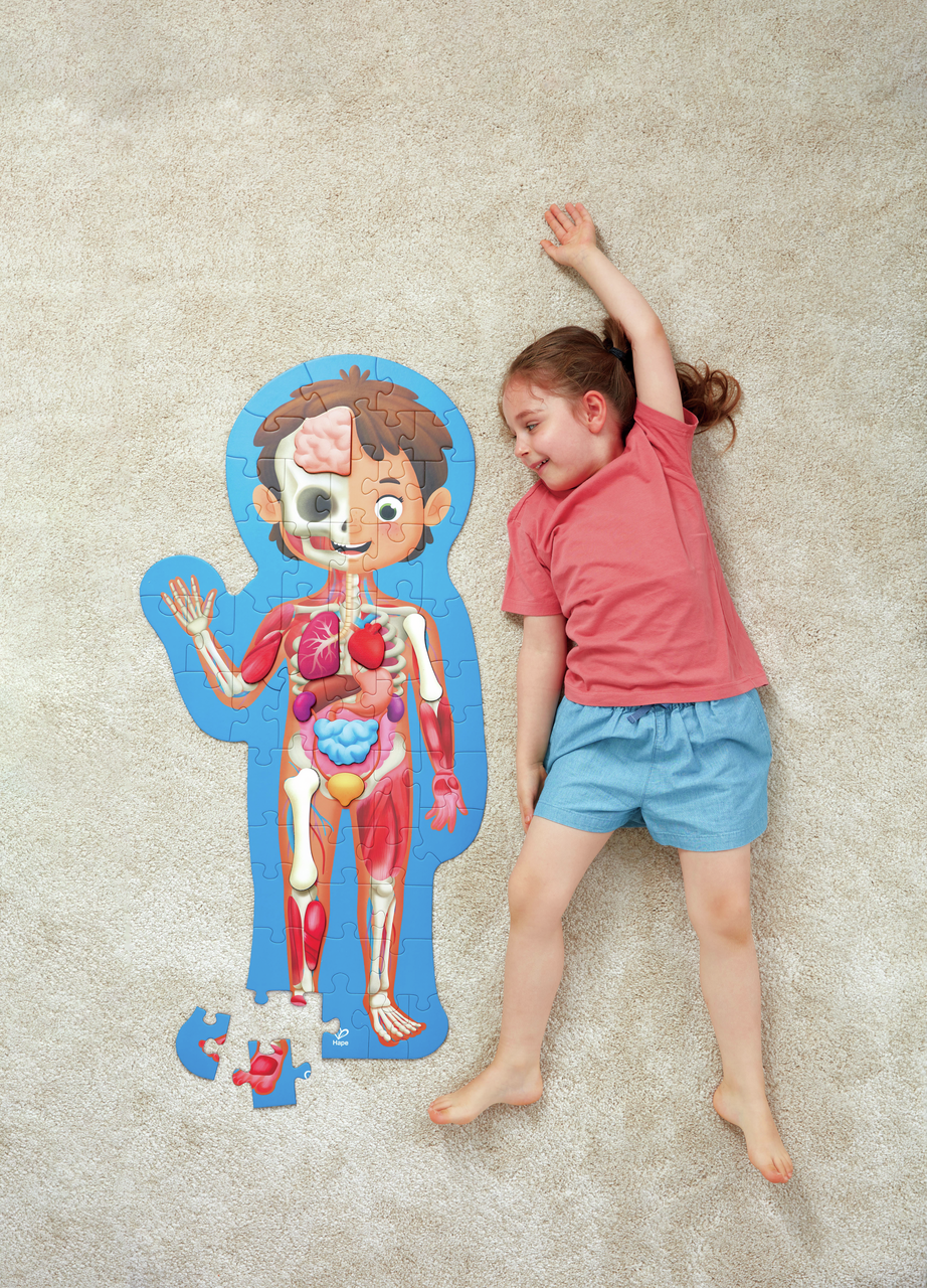 Human Body Puzzle Human Body Puzzle