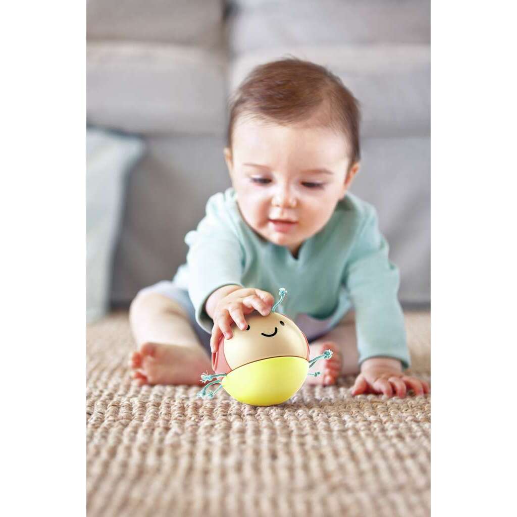 Marienkäfer Marlon Marienkäfer Marlon