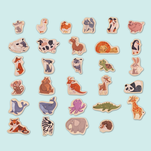 Magnetische Tiere Magnetische Tiere