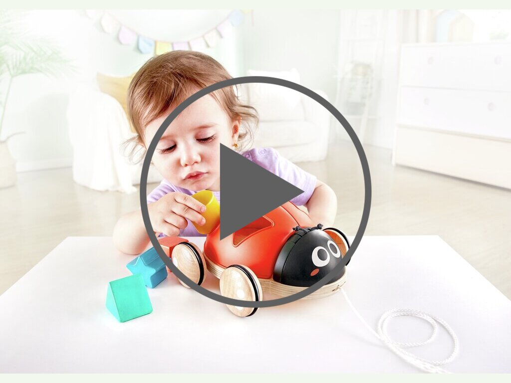 Formensortierer Marienkäfer Formensortierer Marienkäfer