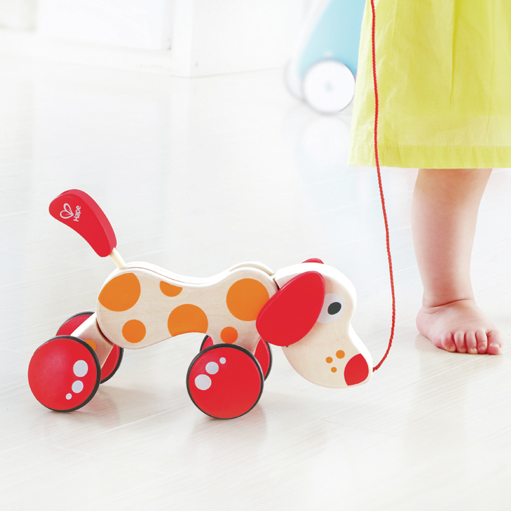 Nachziehhund "Pepe" Nachziehhund "Pepe"