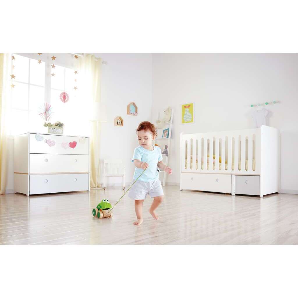 Pull along Frog Pull along Frog