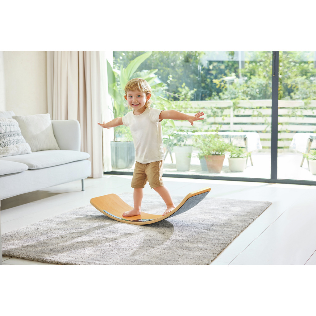 Intelligent Balance Board Intelligent Balance Board