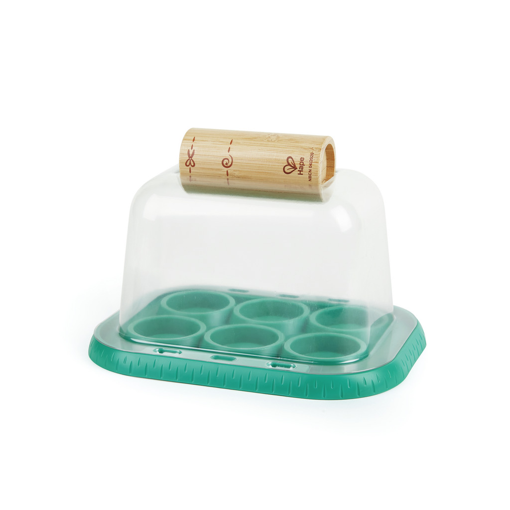 Gewächshaus Gewächshaus